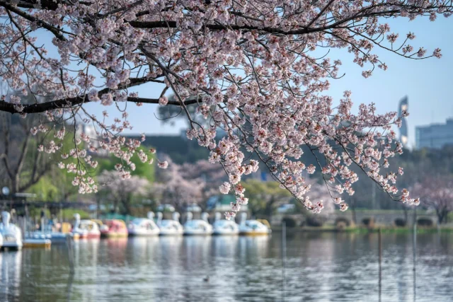 千波湖