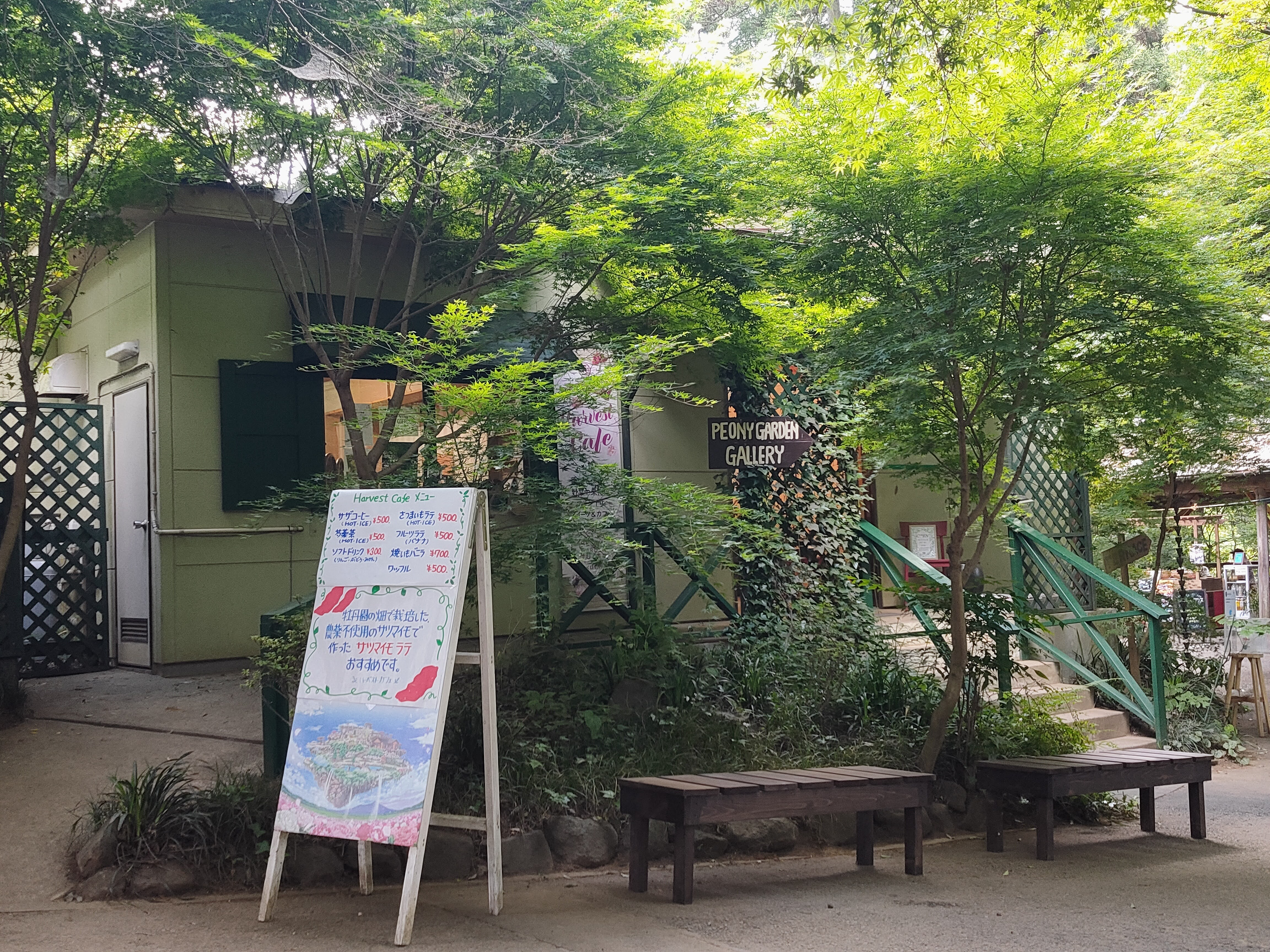Harvest Cafe