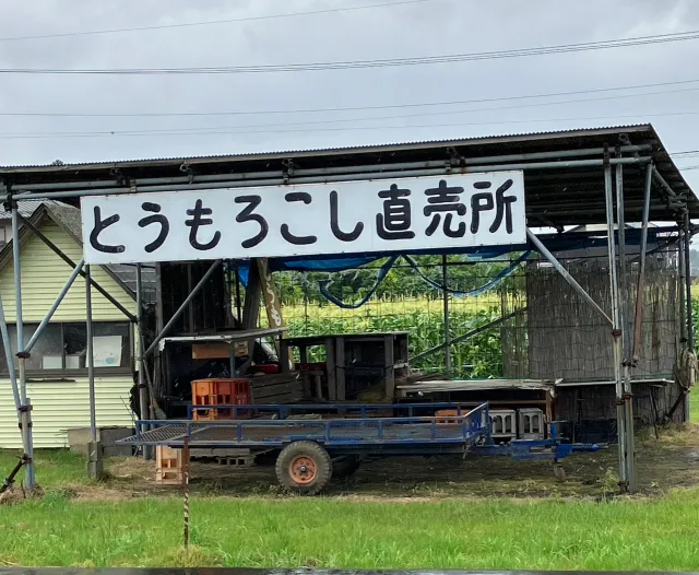 とうもろこし直売所