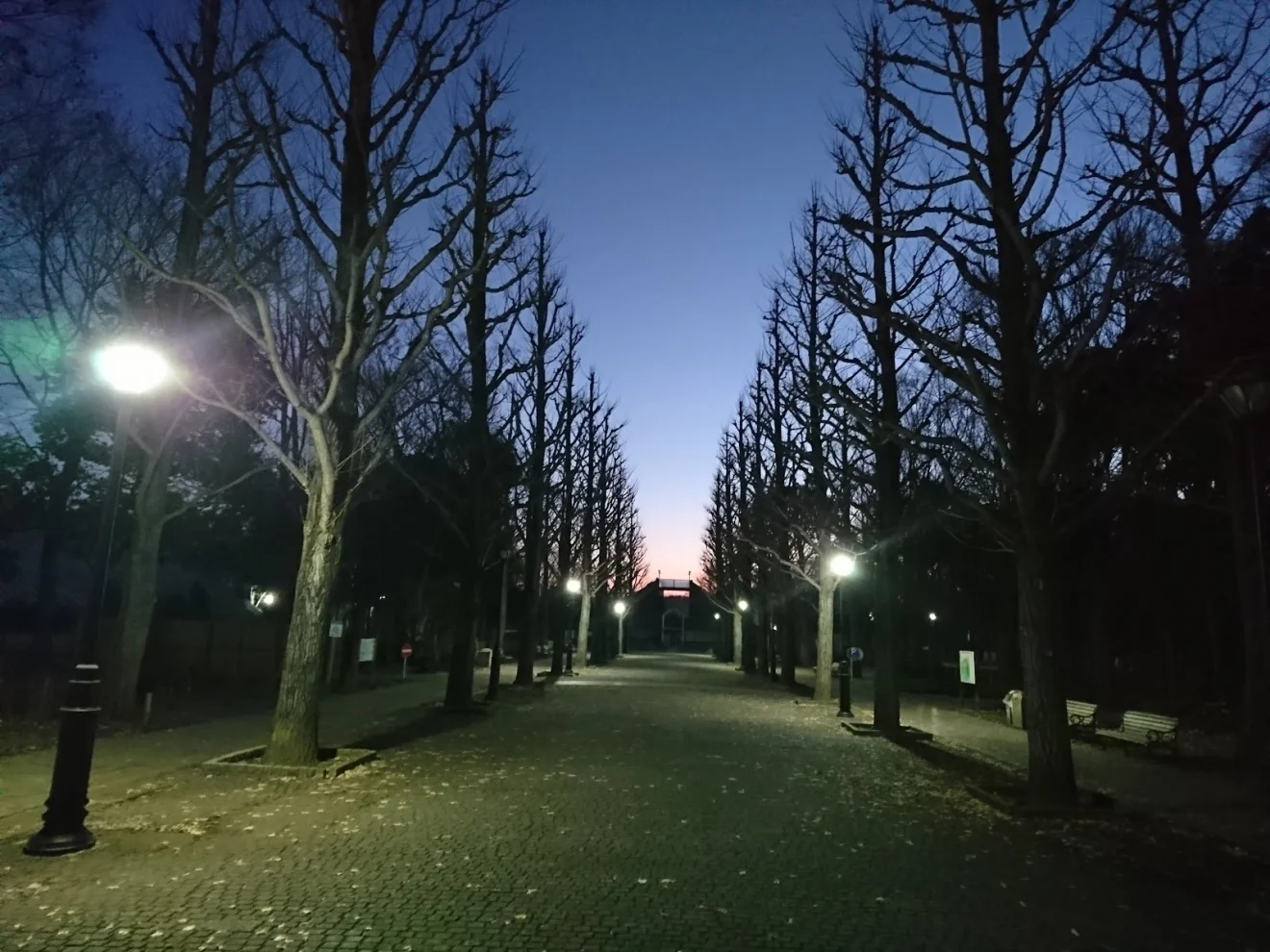 洞峰公園 - 画像3