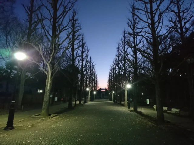 洞峰公園 - 3