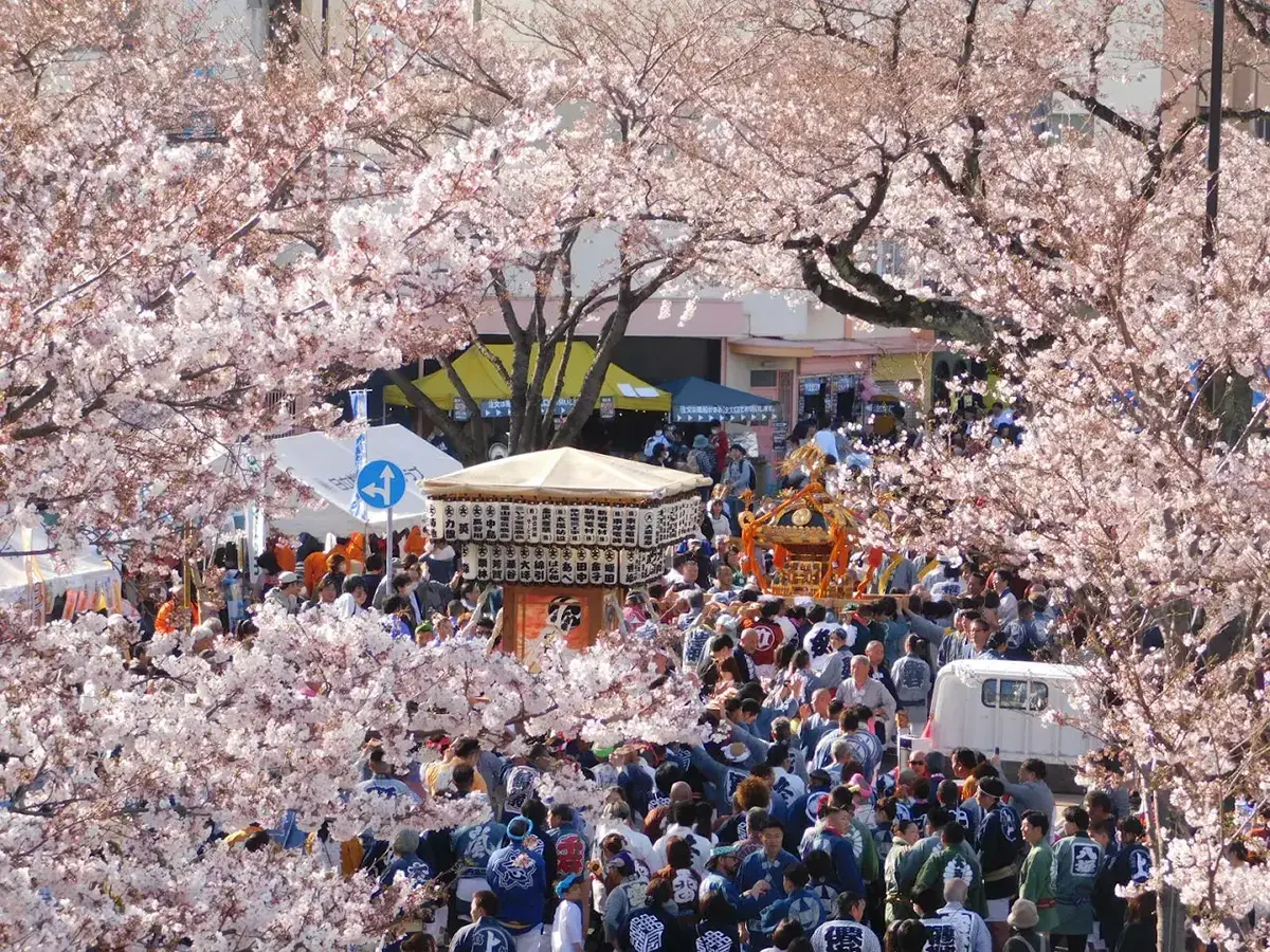 日立さくらまつり - 2