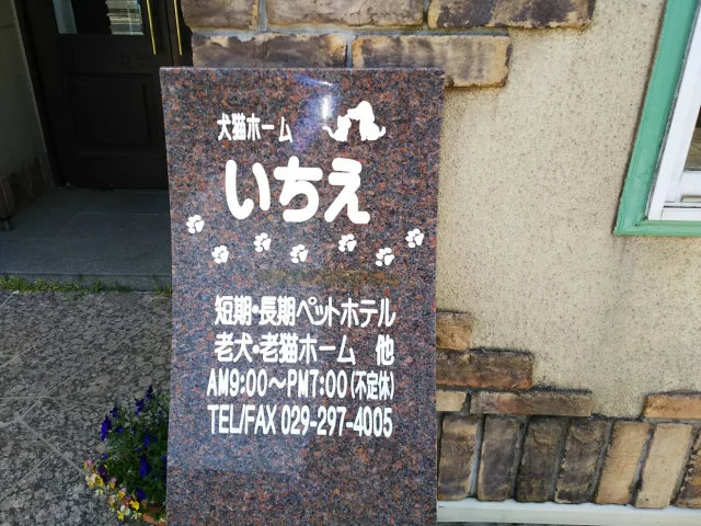 犬猫ホーム・ペットホテル いちえ