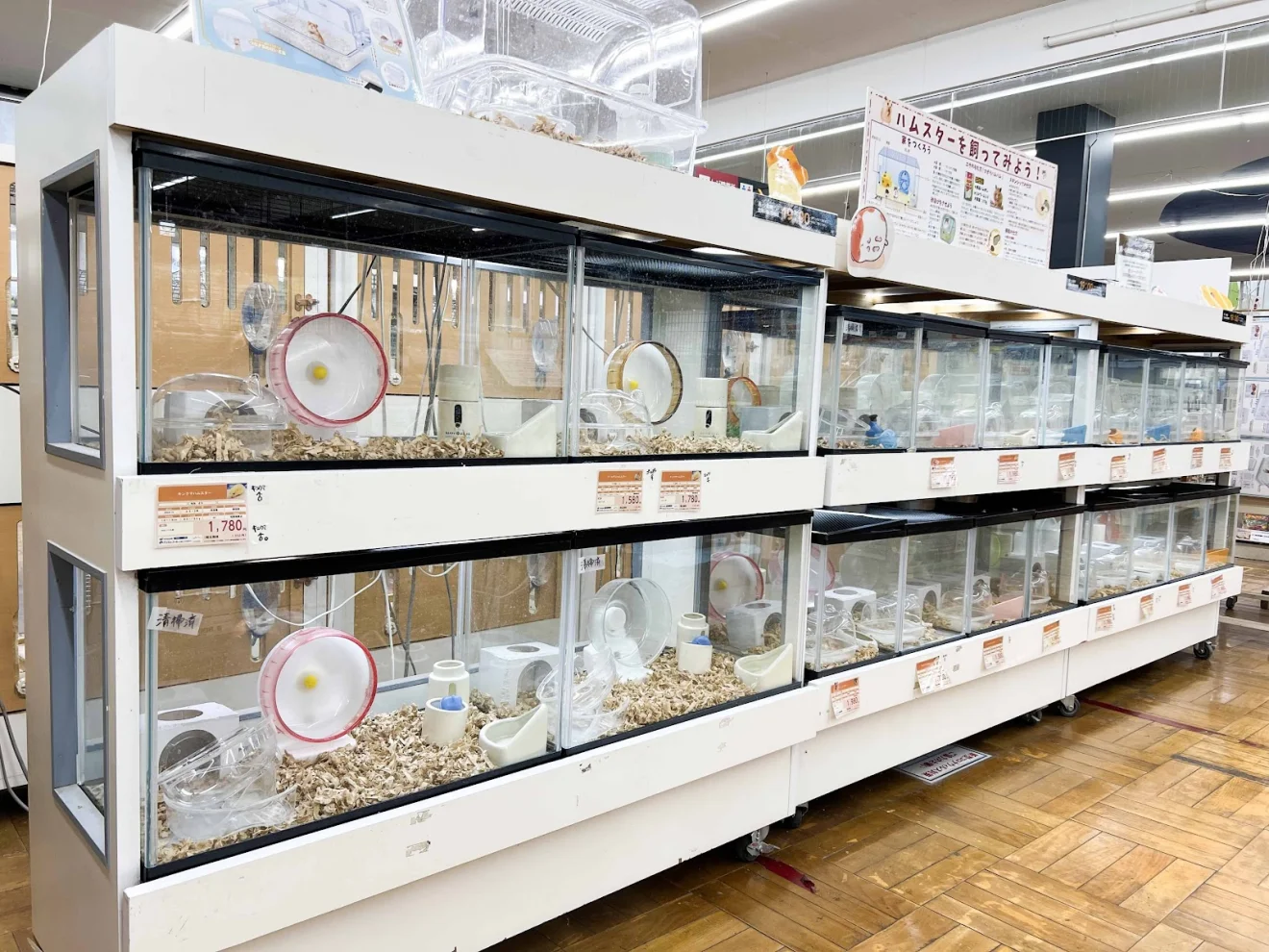 ジョイフル本田 守谷店 ペットワールド - 画像2