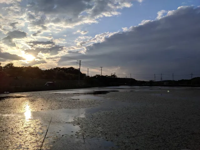 守谷沼