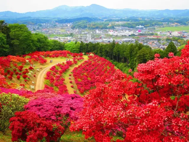 笠間つつじ公園