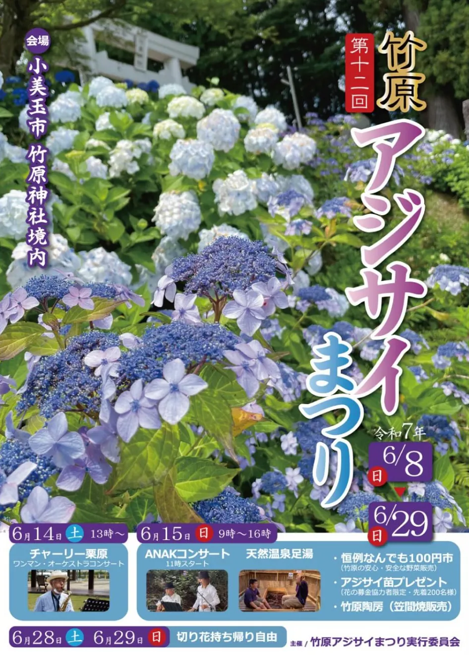 竹原アジサイまつり - 画像3