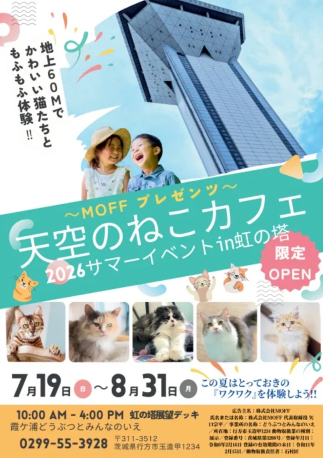 地上60mで猫と出会う夏。虹の塔に「天空のねこカフェ」オープン