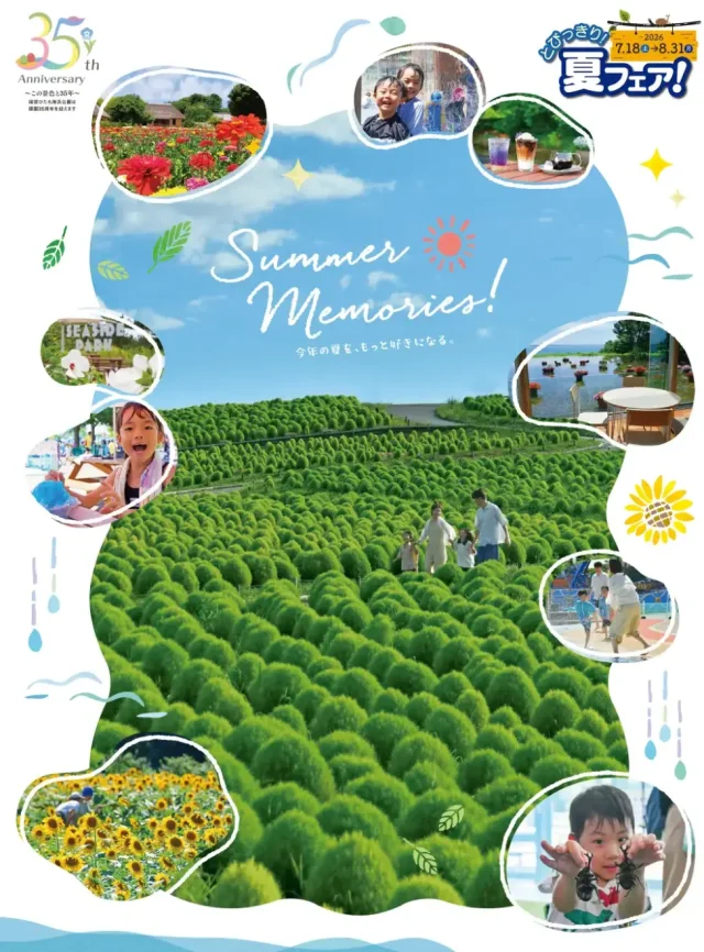 夏空の下、花と水遊びが勢ぞろい。ひたち海浜公園の「夏フェア」開幕
